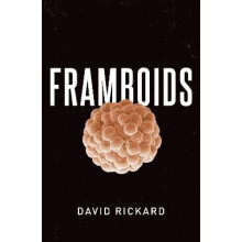 Framboids