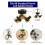 Adjustable Flow Control Faucet Splitter, Heavy Duty 2-Way Valve with Eco-Friendly Solid Brass Construction, Universal Compatibility for Gardening 4