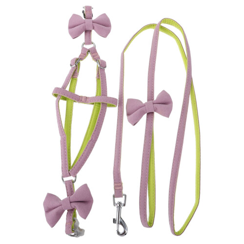 2Pcs Comfortable Pulling Rope Durable Dog and Cat Leash 1