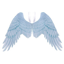 2St Duurzame Skyblauwe Angel Wings Festival En Fotoshoot