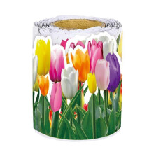 1 Rolle Tulpenblumenrand Dekoration 65,6ft Blumiger Pinnwandrand für Schulklasse Tafel Kreide