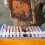 40Pièces Séparateurs Cadres Ruches Transparent ABS Durable Apiculture 4