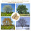 Lot de 2 protections de jardin pour la protection des-200 5