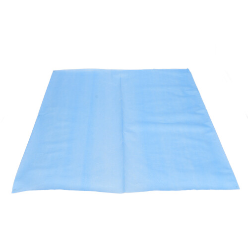 Bavaglio Dentistico usa e getta 80 pezzi Blu Impermeabile 50x60 cm 2