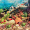 3Stk Aquarium Aus Plastik, Lotus Ornament 6
