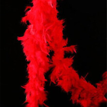Plume de paon rouge 1,8 m pour la décoration de mariage et de fête