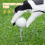 200Pcs Wood Golf Tees Assorted Colors Practical Golf Ball Stands 7