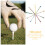 200Pcs Wood Golf Tees Assorted Colors Practical Golf Ball Stands 9