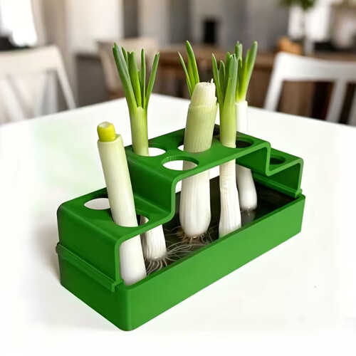 Practical Hydroponic Planter for Scallion Regeneration Soilless 1