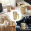 Stainless Steel Magnetic Stirring Cup Temperature-3 2 4