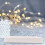 4Pcs Plastic Bunny Cage Toilet Litter Box Leakproof White 10
