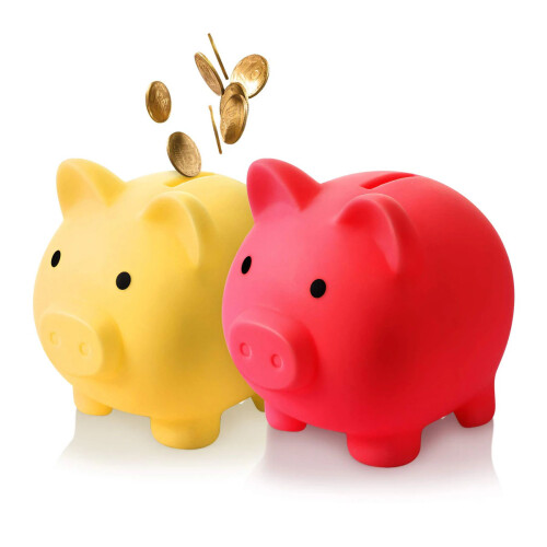 Κουμπαράς Piggy Bank Duo, Φιλικό προς το περιβάλλον και άθραυστο, Καλλιεργήστε