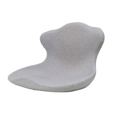 Oreiller d'assistance lombaire transportable avec protection-G