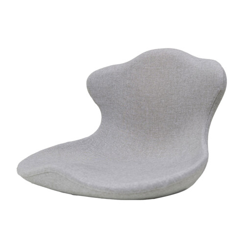 Oreiller d'assistance lombaire transportable avec protection-G