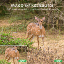 Trail Camera 16MP 4K Waterproof Night Vision Wildlife Surveillance