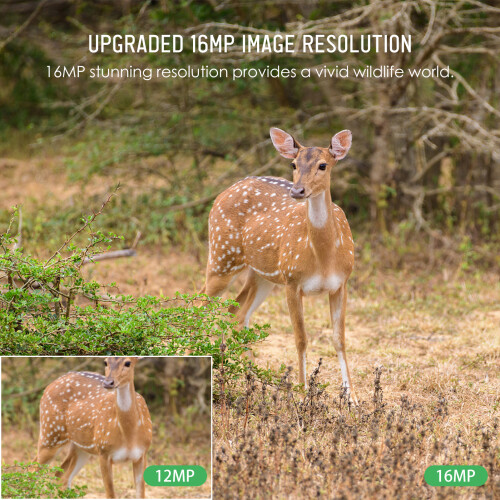 Trail Camera 16MP 4K Waterproof Night Vision with 2" TFT Screen
