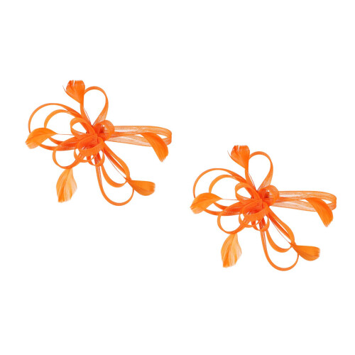 2St Fascinator Haarclip Bruids Feathersfeest Haarpin 2