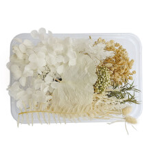 Exquisite umweltfreundliche getrocknete Blumen für DIY-Handwerk & Dekoration 30g