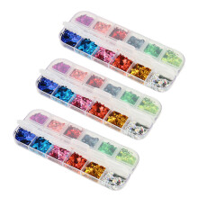 Fiore di Colore Sequin per Unghie in 3 Scatole, 12 Scomparti, Glitter Laser per Nail Art