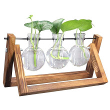 Decoratie in Dark Academia-stijl, tuincadeaus voor vrouwen met een vaasterrarium in de vorm van een bloembol.