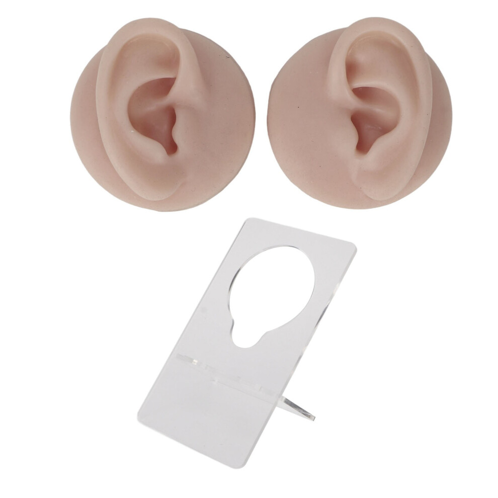 Body Part Displays Soft Silicone Realistic Ear Mold Flexible Model Simulation Skin Teaching Tool Piercing Practice Jewelry Display Acupuncture
