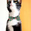 Collier Chat Vert 1 Tissu Doux Chic Confortable 6