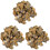 3 Packs Brachiopod Table Ornament Classroom Teaching Decor 2