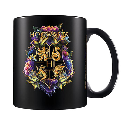 Harry Potter Harry Potter Fine Oddities 315ml Mug