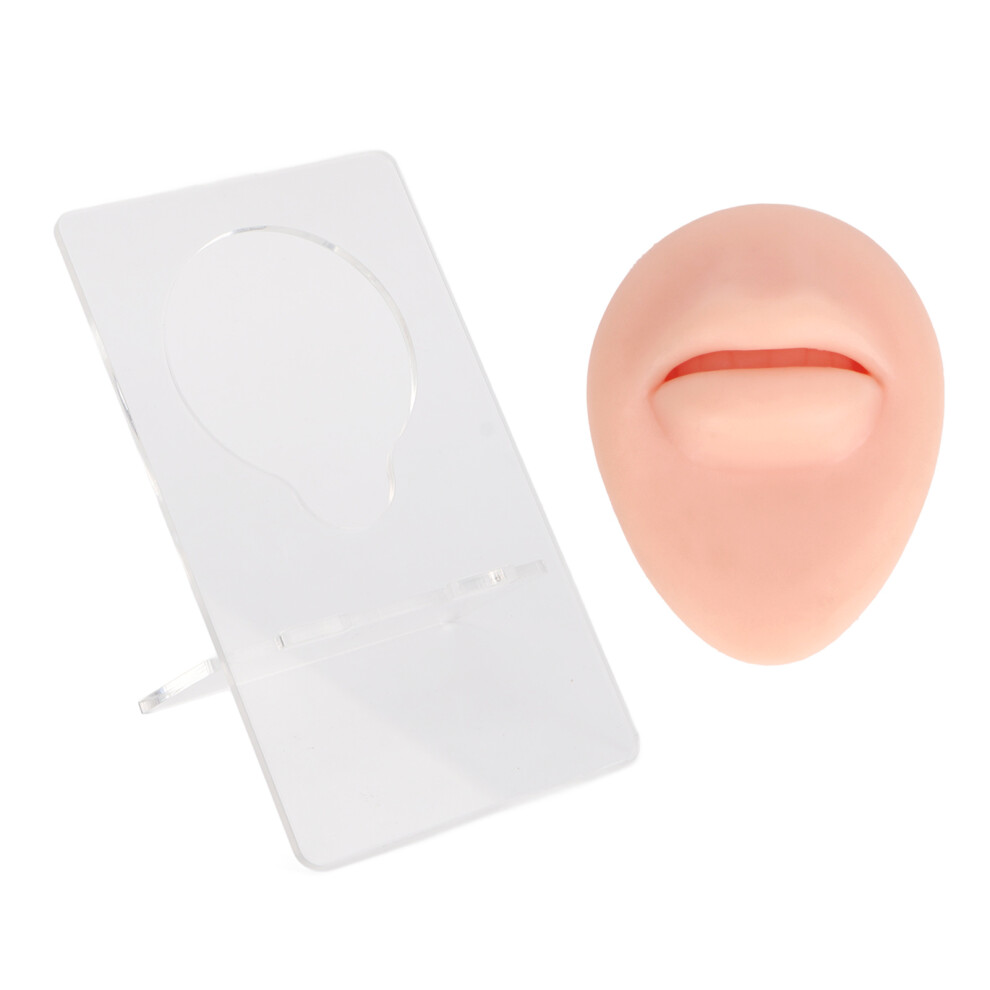 Light Simulated 3D Silicone Mouth Model For Piercing Practice & Display, Skin