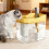 Ventilateur silencieux pour animaux de compagnie, source-Jaune 2