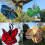 Fade Resistant Colorful Dynamic Rotating Outdoor Decoration-Red 7