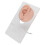 3 Pairs Soft Silicone Ear Models for Piercing Practice and Earring Display 10