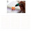 MF51-103F-B3435-L65 10K NTC termistor plateado 7