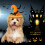 Αξεσουάρ Στολής Κατοικίδιων για το Halloween, Υλικό Υψηλής Ποιότητας με Σχεδιασμό 5