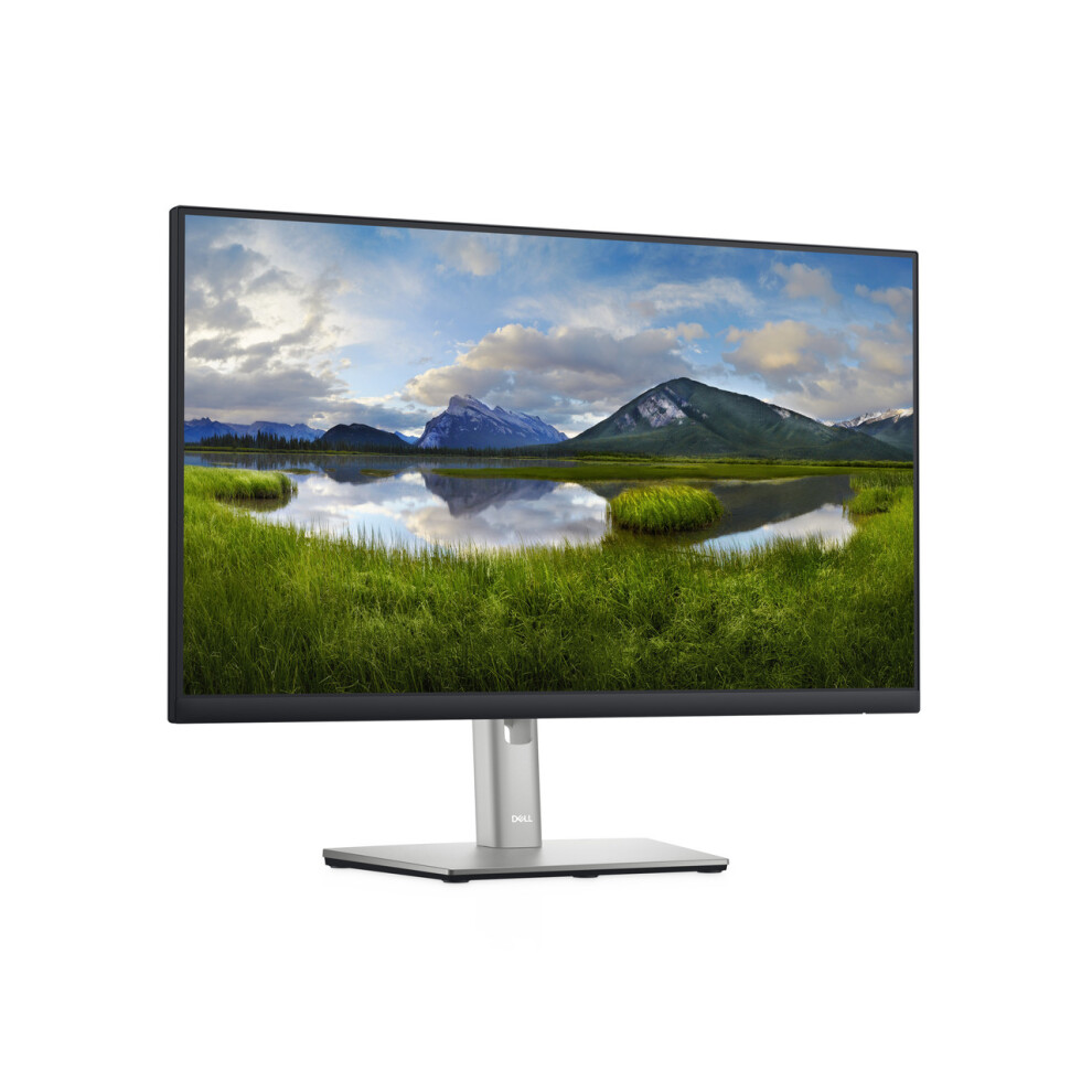 Dell 24 Monitor - P2422h 5397184505175