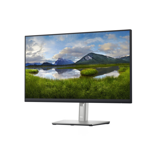 Dell Dell 24 Monitor - P2422H 2