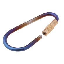 Titanium D-Ring Carabiner Keychain Buckle Clip Screw Gate for Camping