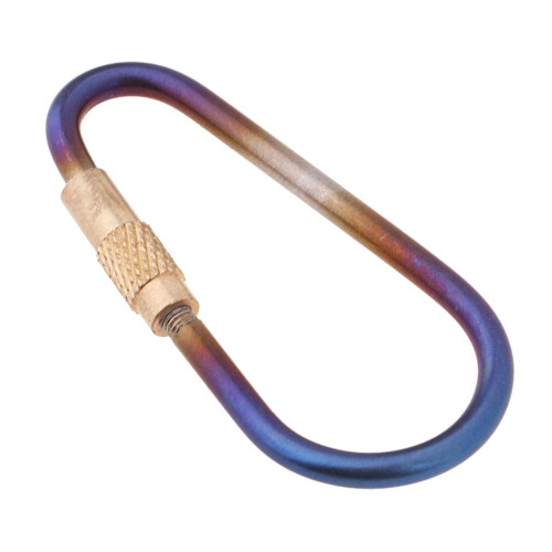 Titanium D-Ring Carabiner Keychain Buckle Clip Screw Gate for Camping 2