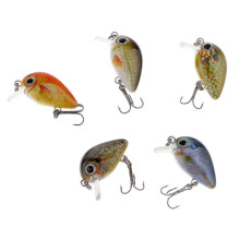 5Pcs/Box Mini Fishing Lures 5 Colors Baits 2.7cm Vibration Minnow Bait