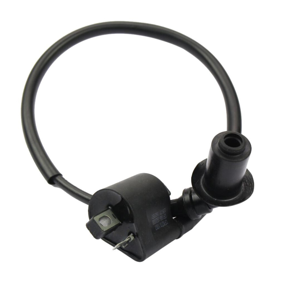 Oem#0180-152000 Ignition Coil Assy For Cfmoto Cf500 4-Wheel Utv Motorc 6901423089136