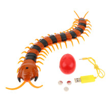 Infrared RC Remote Control Centipede Scolopendra Creepy-crawly Kids To