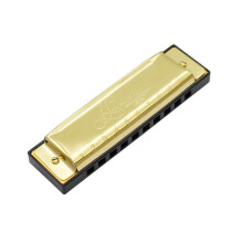 Golden 10 Hole 20 Tones Professional Blues Harmonica Musical Instrumen