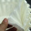 Time Saving Coffee Filters, Taller Walled Filter For Easy Removal, Wide Compatibility Range, Natural Material, 100 Sheet 2