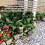 Retractable Black Downspout Extender 20-59 Inches Drain Pipe 5