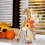 Cadeau de célébration de vacances, décoration conviviale-2 5
