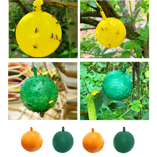Durable Plastic Fruit Insect Trap Easy to Clean Design-Green 1