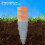 Watering Terracotta Spikes Automatic Irrigation Stake For Potted 5
