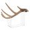 Horn Mount, Four Piece Assembly Kit, Drill Free Trophy Display, Floating  Shelf Riser, Home Decor Accessory 3