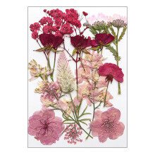 16/18/19/22Pcs Dried Flower For Bookmarks Jewelry Making-Type F