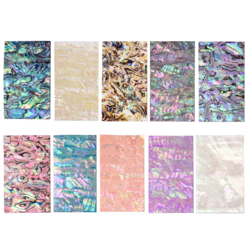 Aesthetic Sticker for Scrapbooking Abalone Shells Sticker-4 1